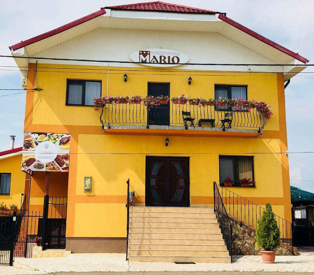 Pensiune Restaurant Mario Beiuș Exterior foto